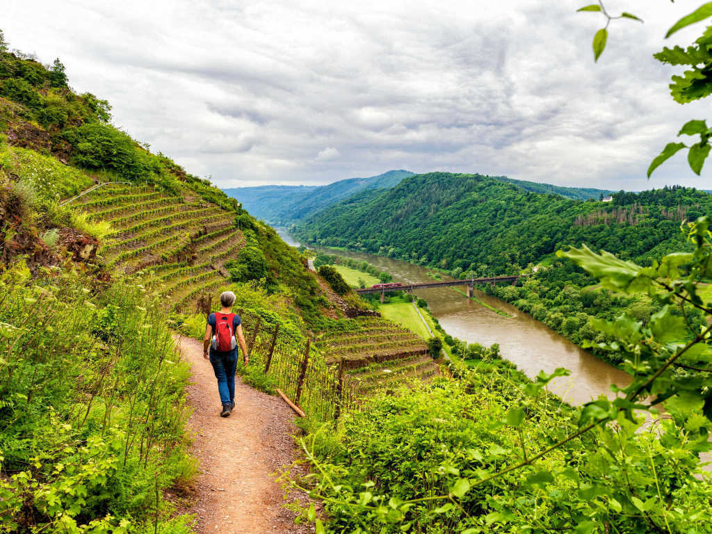 Wandern im Bremmer Calmont - Urlaub an der Mosel in Ferienhaus Bremm, Am Storchenhaus 10, 56814 Bremm