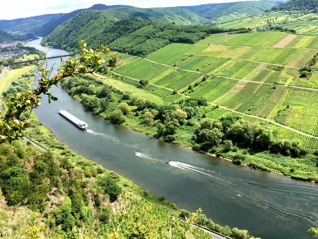 Mosel bei Ediger-Ellger - Moselurlaub in Ferienhaus Bremm, Am Storchenhaus 10, 56814 Bremm